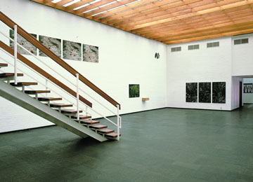 Andrea Hold-Ferneck, Gewächse, Fotografien, Kunstverein Bremerhaven, 2001