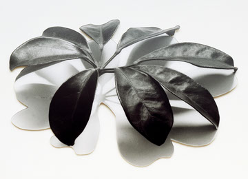 Schefflera, Fotografie, Cutout, Andrea Hold-Ferneck, 1995